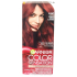 Garnier Color Sensation hair dye 6.60 Intense Ruby