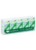 This Fresh Eucalyptus 3-ply tissues 10 pieces