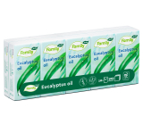 This Fresh Eucalyptus 3-ply tissues 10 pieces