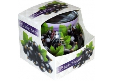 Admit Black Currant - Black currant scented candle in glass 80 g