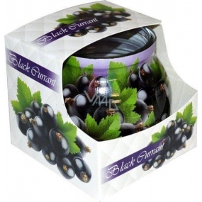 Admit Black Currant - Black currant decorative aromatic candle in glass 80 g