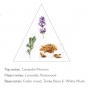 Panier des Sens Lavender luxury invigorating, soothing shower gel 250 ml