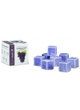 Cossack Black grape natural fragrant wax for aroma lamps and interiors 8 cubes 30 g