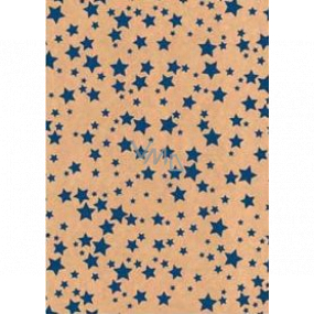 Ditipo Gift wrapping paper 70 x 200 cm Christmas KRAFT blue stars