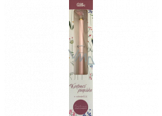 Albi Ballpoint pen in gift box Luční 14,5 cm