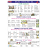 Ditipo Basic English III English teaching board A4 21,4 x 30 x 0,1 cm