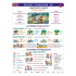 Ditipo Basic English IV English teaching board A4 21,4 x 30 x 0,1 cm