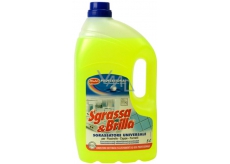 Sgrassa & Brilla Degreaser kitchen cleaner also removes grease from 5 l engines