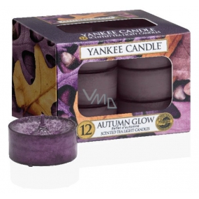 Yankee Candle Autumn Glow 12 x 9.8 g