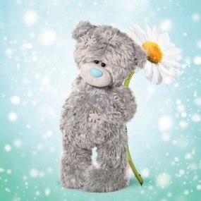 Me to You Congratulations to the envelope 3D Teddy bear with daisy 15.5 x 15.5 cm