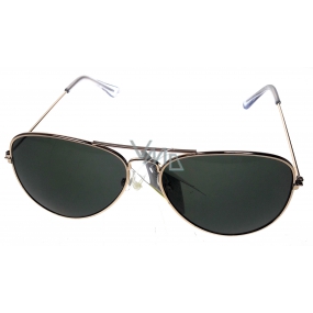 Nac New Age Sunglasses AZ Icons 1180C