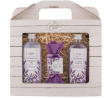 Bohemia Gifts Lavender La Provence shower gel 100 ml + hair shampoo 100 ml + handmade soap 30 g, cosmetic set