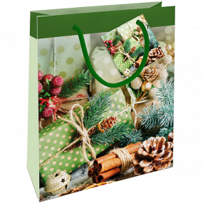 Nekupto Gift paper bag 23 x 18 x 10 cm Christmas with green gifts