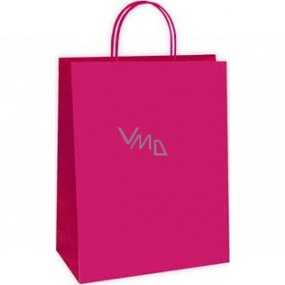 Ditipo Gift paper bag 22 x 10 x 29 cm ECO Pink