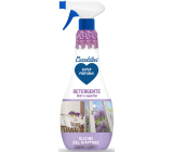 Coccolatevi Glicine Del Giappone glass and hard surface cleaner 750 ml