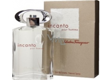 Salvatore Ferragamo Incanto Homme EdT 50 ml eau de toilette Ladies