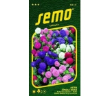 Semo Astra Chinese Low Color Carpet - Mix 0,5 g