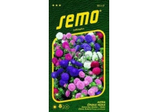 Semo Astra Chinese Low Color Carpet - Mix 0,5 g
