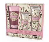 Somerset Toiletry White Jasmine luxury body cream 130 ml + shower gel 200 ml + luxury hand cream 60 ml, cosmetic set