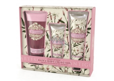 Somerset Toiletry White Jasmine Luxury Body Lotion 130 ml - + Shower Gel 200 ml + Luxury Hand Cream 60 ml, cosmetic set