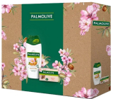 Palmolive Almond Naturals Almond & Milk shower cream 250 ml + Naturals Delicate Care with almond milk toilet soap 90 g, cosmetic set for women