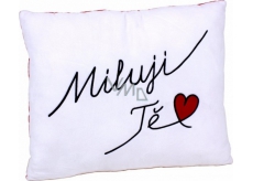 Albi Humorous pillow big I love you 36 cm × 30 cm