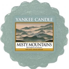 Yankee Candle Misty Mountains Scented wax for aroma lamp 22 g