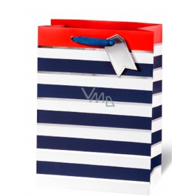 BSB Luxury gift paper bag 36 x 26 x 14 cm Blue-white stripes LDT 392 - A4