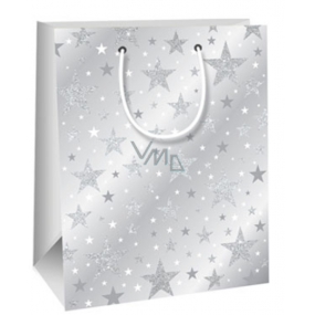 Ditipo Gift paper bag Glitter 18 x 10 x 22.7 cm gray, stars QC