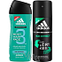 Adidas Ice Effect 3 in 1 shower gel for body, hair and face for men 250 ml + antiperspirant deodorant spray 150 ml, cosmetic set