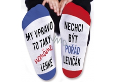 Nekupto Family gifts with humor Socks We right, size 43-46 WZ 010