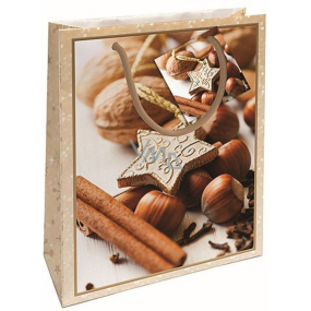 Nekupto Gift paper bag 23 x 18 x 10 cm Christmas nuts