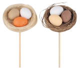 Eggs in the nest 5,5 cm + skewer 1 piece different types