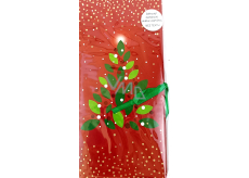 Albi Christmas gift box 23 x 11 x 0,7 cm