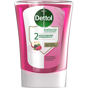 Dettol Forest Fruits Liquid Soap Refill, 250 ml