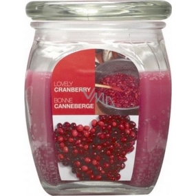 Bolsius Aromatic Lovely Cranberry - Beautiful cranberry scented candle in glass 92 x 120 mm 830 g, burning time 100 hours