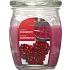 Bolsius Aromatic Lovely Cranberry - Beautiful cranberry scented candle in glass 92 x 120 mm 830 g, burning time 100 hours