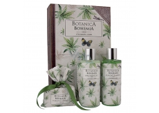 Bohemia Gifts Botanica Hemp oil shower gel 200 ml + hair shampoo 200 ml + toilet soap 100 g, book cosmetic set