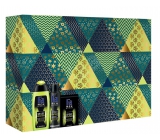 Fa Men Energy Boost shower gel for men 250 ml + antiperspirant deodorant spray 150 ml + aftershave 100 ml, cosmetic set