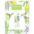 Chanson d Eau Original perfumed deodorant glass 75 ml + deodorant spray 200 ml, cosmetic set for women