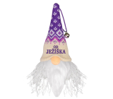Albi Illuminated elf with inscription From Santa Claus 12 cm