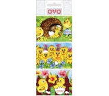 Ovo Egg foil Modern 1 package = 9 pictures (shrink shirts)