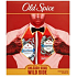 Old Spice Wolfthorn deodorant stick 50 ml + shower gel 250 ml, cosmetic set