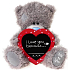 Me to You Teddy bear with a heart with the inscription I Love You Because 25 cm