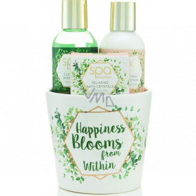 SK S&G Spa Happiness Blooms from Within body soap 100 ml + body lotion 100 ml + bath crystals 50 g, cosmetic set in a pot