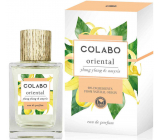 Colabo Oriental Eau de Parfum for unisex 100 ml