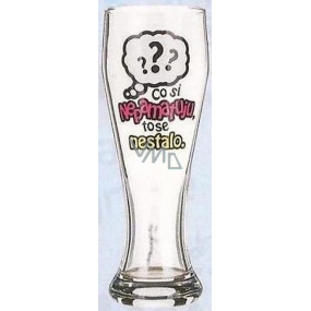 Nekupto Gifts with humor Beer glasses humorous What I don't remember didn't happen 0.6 l