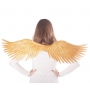 Golden wingspan 96 cm