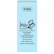 Ziaja Jeju Liquid Skin Concealer - Natural Tone with Anti-inflammatory and Antibacterial Effects 30 ml