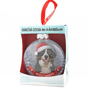 Albi Glass Christmas ornament with animals - Bernese Mountain Dog 7.5 cm x 8 cm x 3.6 cm